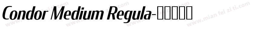 Condor Medium Regula字体转换